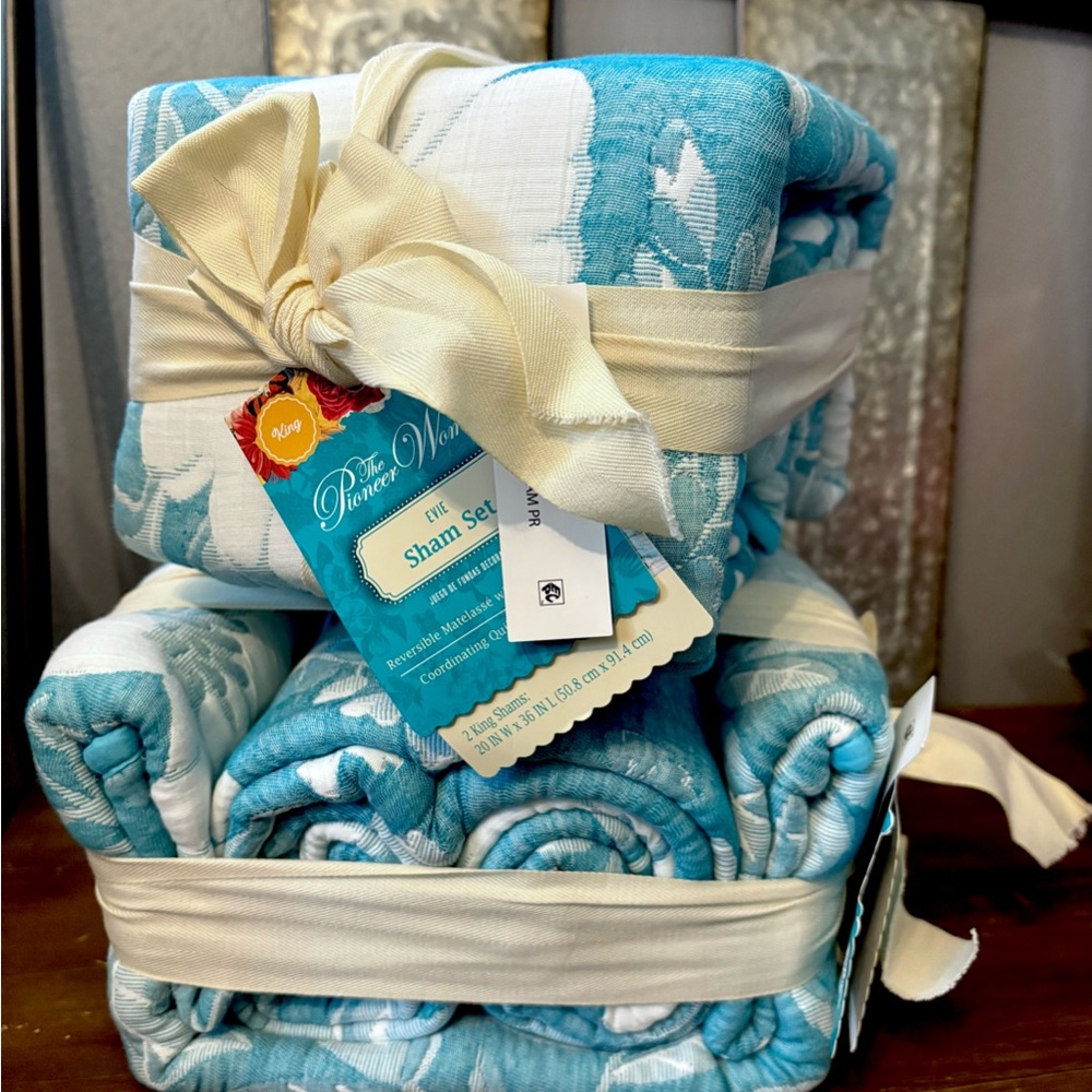 The Pioneer Woman Blue and White Quilt Set